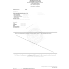 Traduction casier judiciaire URGENT